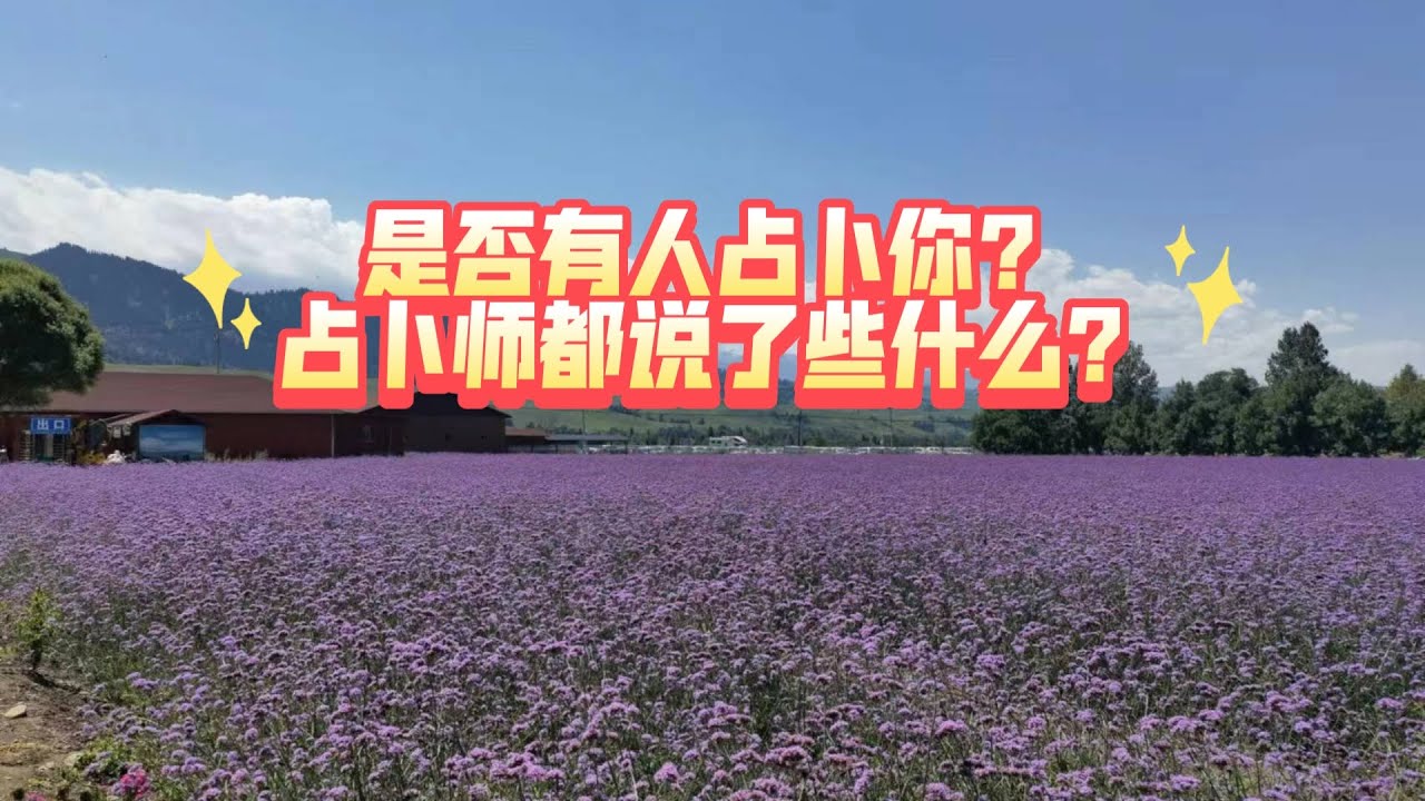是否有人占卜你？占卜师都说了些什么？(不限时空  不限关系)