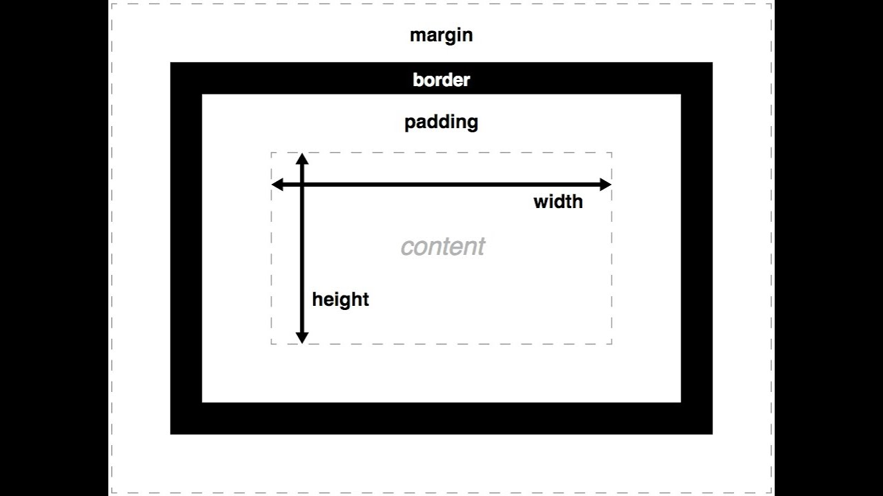 CSS Box Model 101