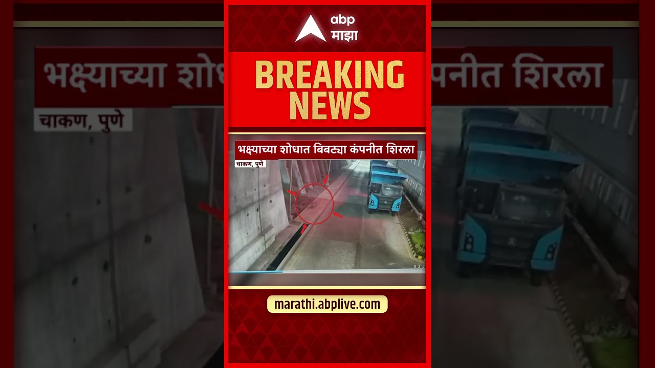 Pune Chakan Leopard : पुण्यात चाकण परिसरासरा शिरल्या बिबट्या, घटना सीसीटीव्हीत कैद