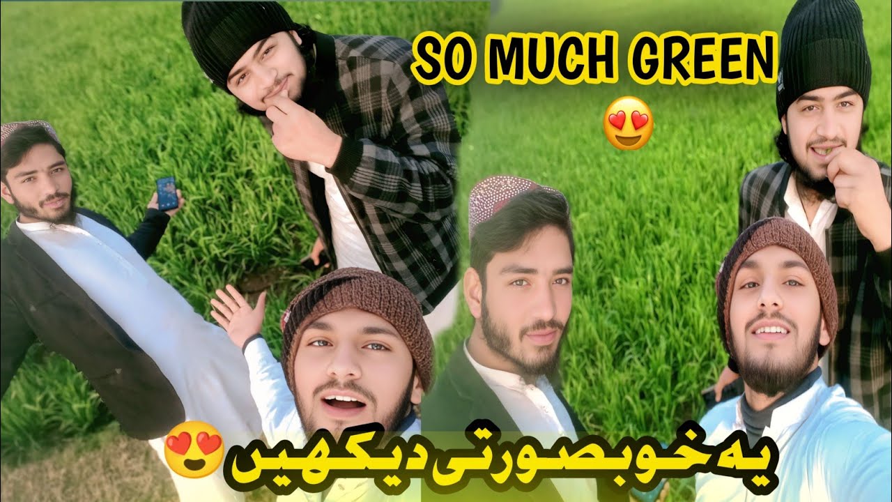 کھیتوں کی خوبصورتی ہر ابھرا گاؤں 🥰Village Life Vlog | A Complete Day in Fields 🌾