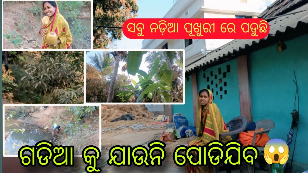 ଗଡ଼ିଆକୁ ଯାଉନି ପୋଡ଼ିଯିବ !!  ସବୁ ନଡ଼ିଆ ଗଡ଼ିଆରେ ପୋଡ଼ିଲା 🔥🥥#minivlog#viralvideo#explore#femilyvlogs