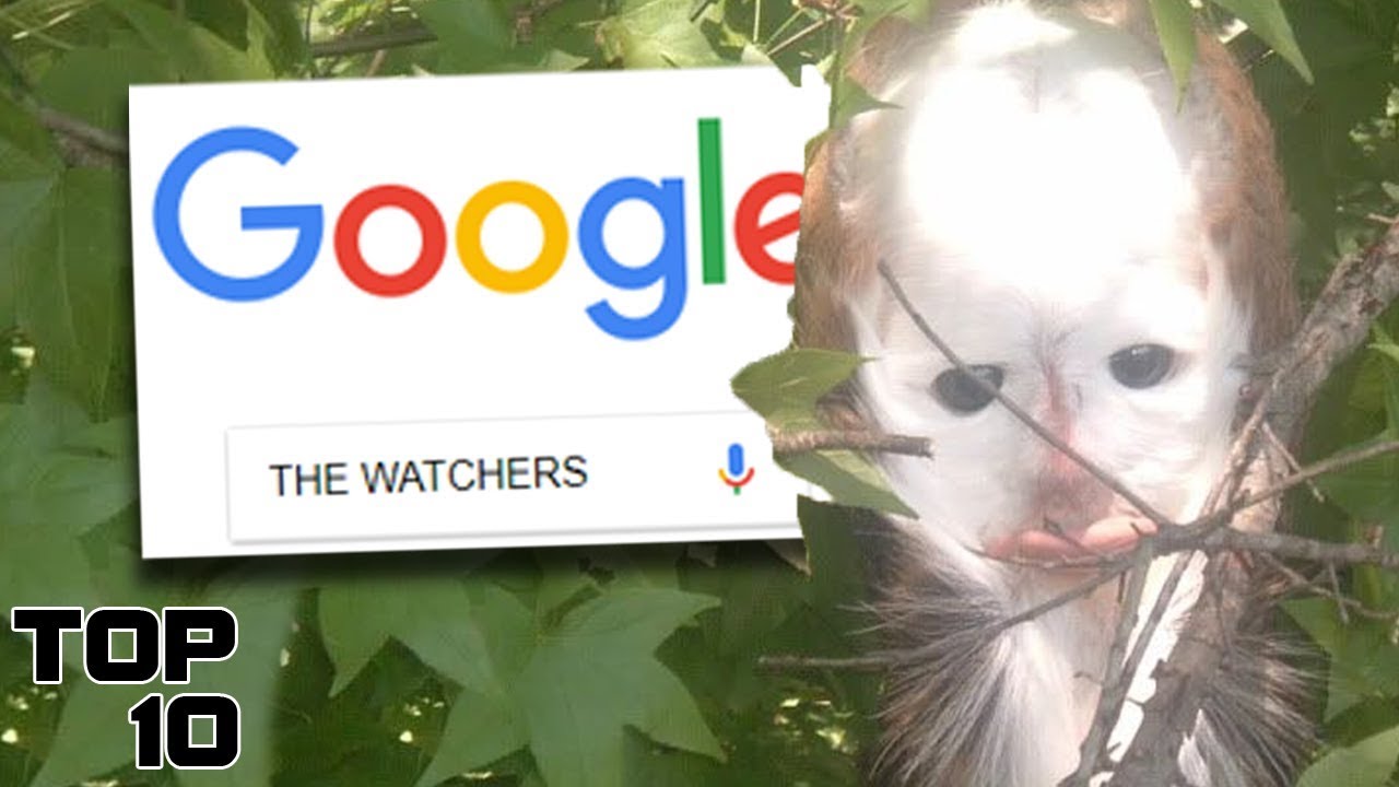 Top 10 Things You Shouldn't Search On Google Part 14
