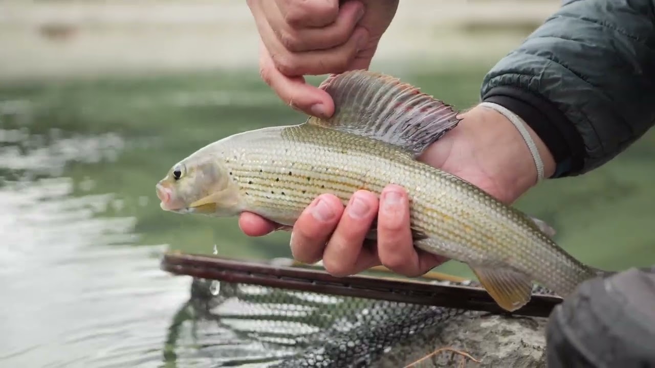 XWaters - Specialisti della pesca a mosca