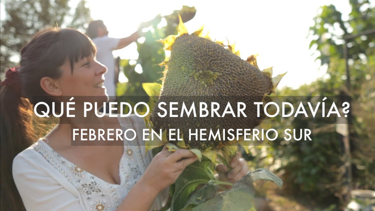 💪💚   Qué puedo sembrar Todavía? #Febrero en el huerto #HemisferioSur 🌱