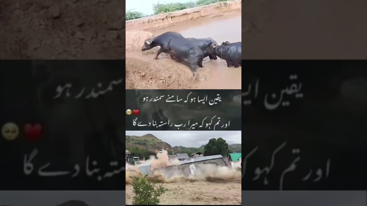 River Flood News Update |Pakistan River Flood News|