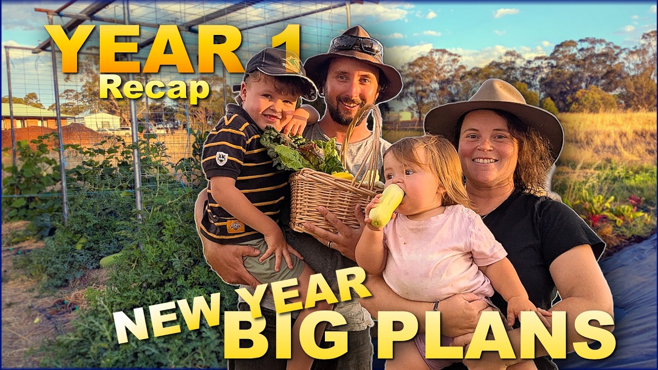 We Survived Year 1 on Our Aussie Homestead - Off-Grid Plans for 2026?