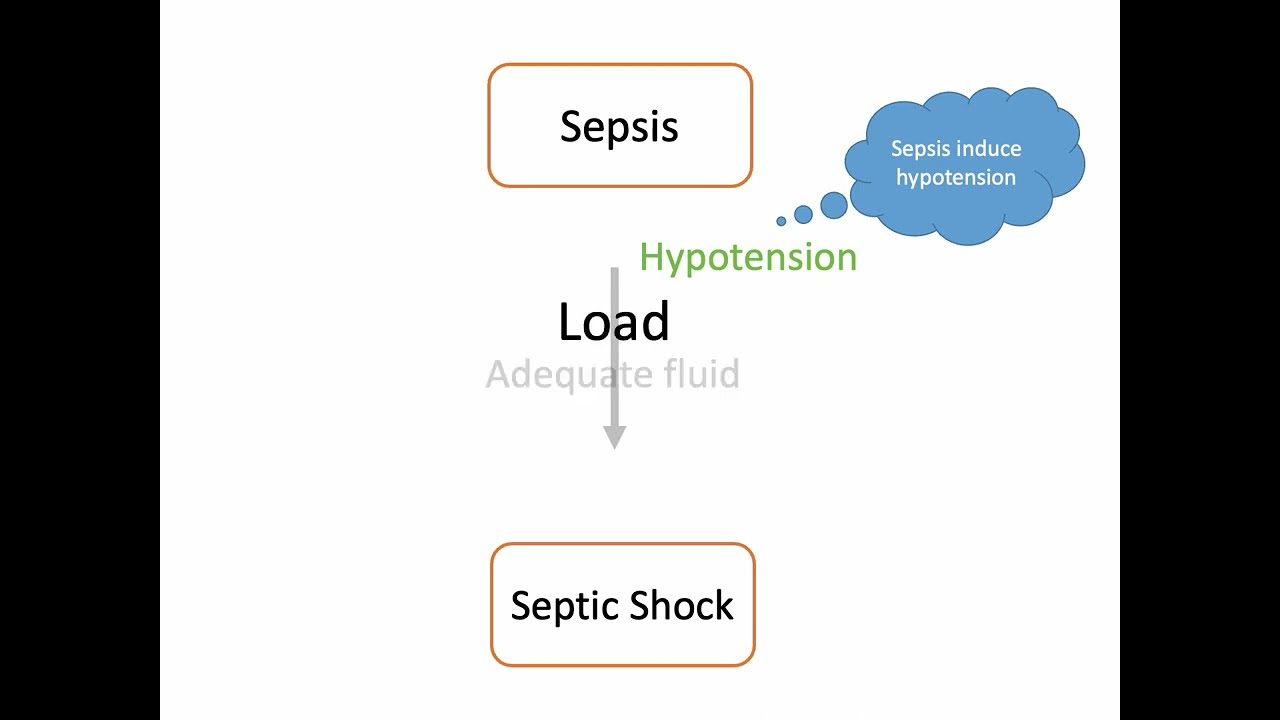 SEPSIS 2023  for A&E501