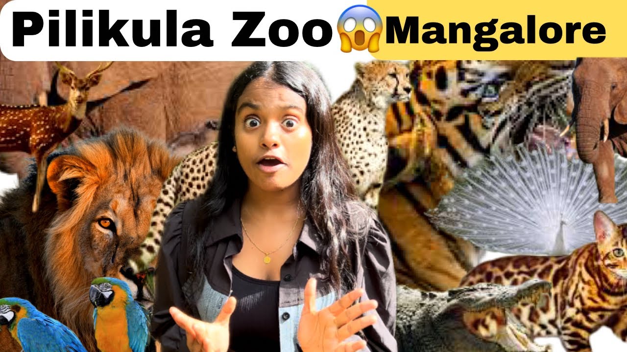 Pilikula Zoo Mangalore😱Rakshita tulu talks #tulu #rakshita #mangalore #pilikula #zoo #tulunadu