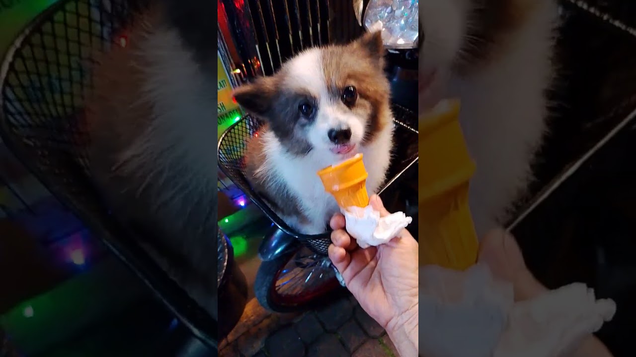 Two months na hindi nakapag ice cream si Mocha💕♥️🍨