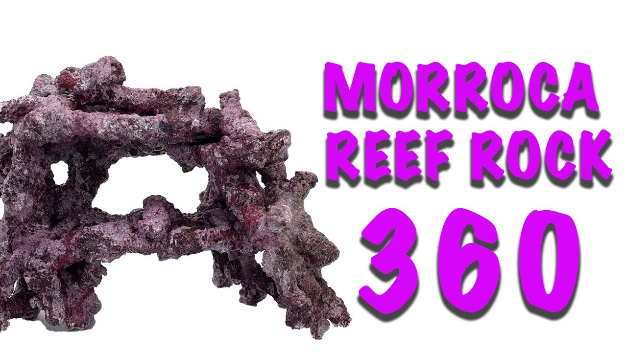 Tropic Eden Morroca Double Cave Reef Rock - 360 View