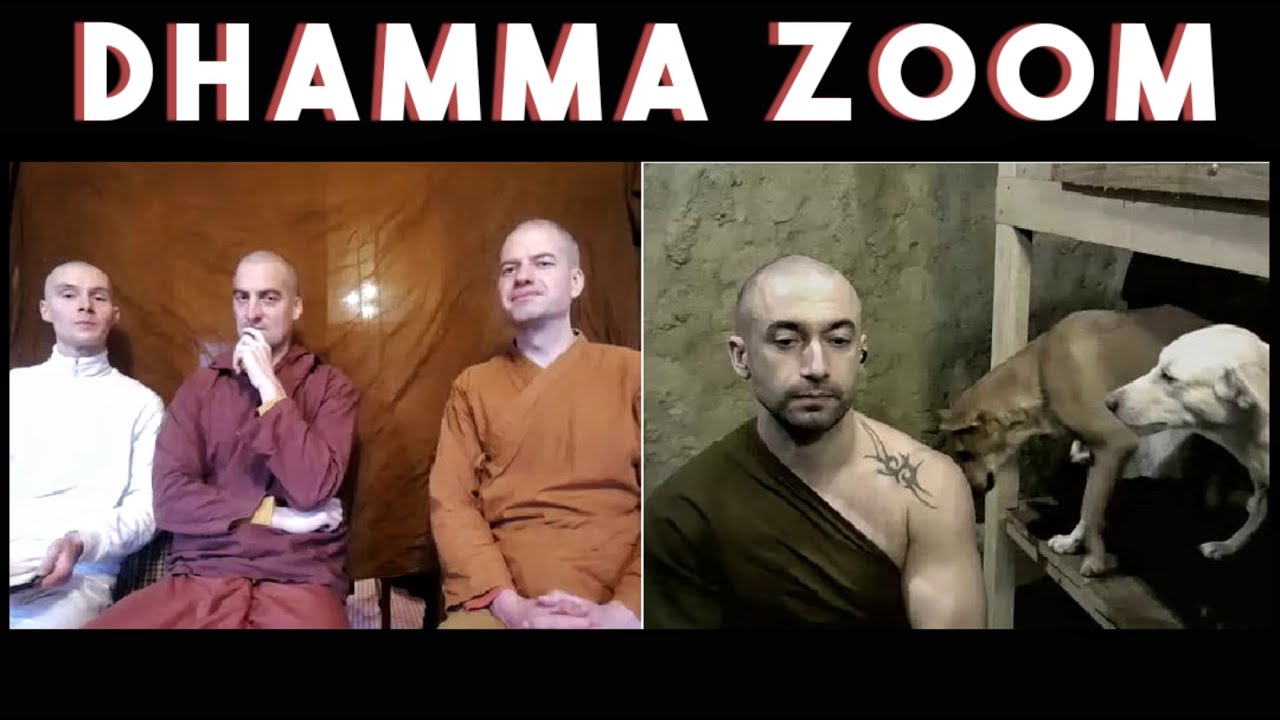 Q&A with Ajahn Nyanamoli and Samanadipa