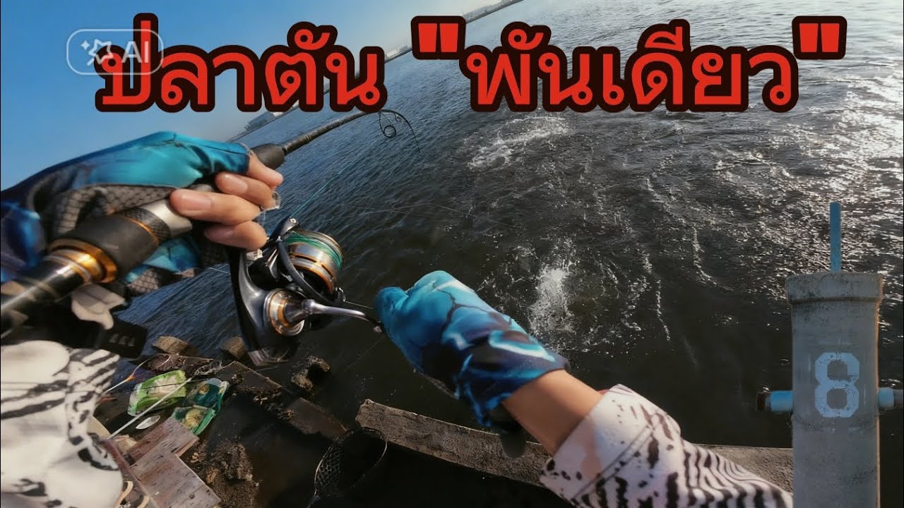 นัวๆมั่วๆกับปลาตันค่าคัน 