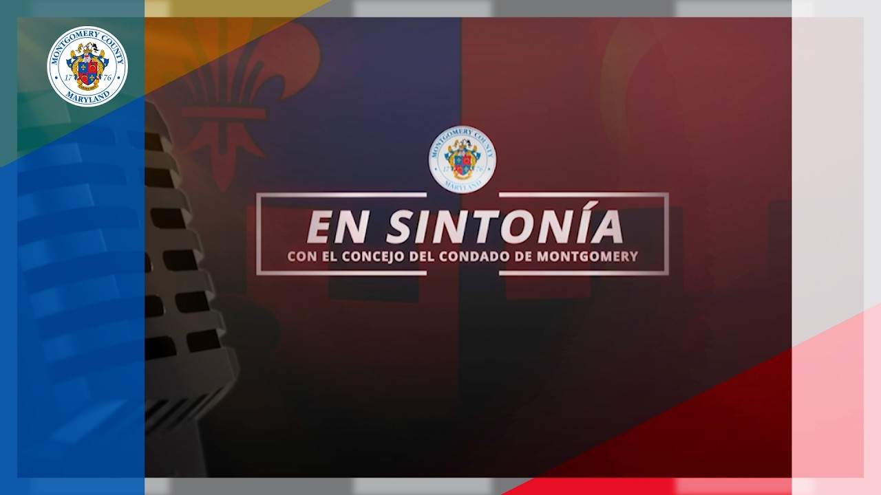 En Sintonia TV 404 - Ana Arriaza