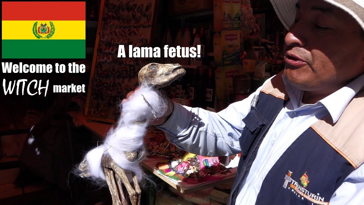 The WITCH Market in La Paz, BOLIVIA - My trip to South America
