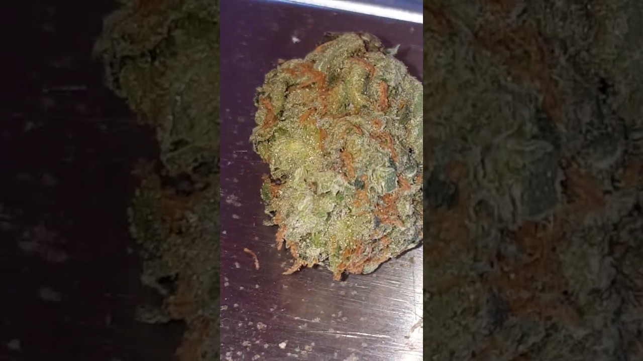 AMNESIA HAZE UK GROWN 1 GRAM &pound;10