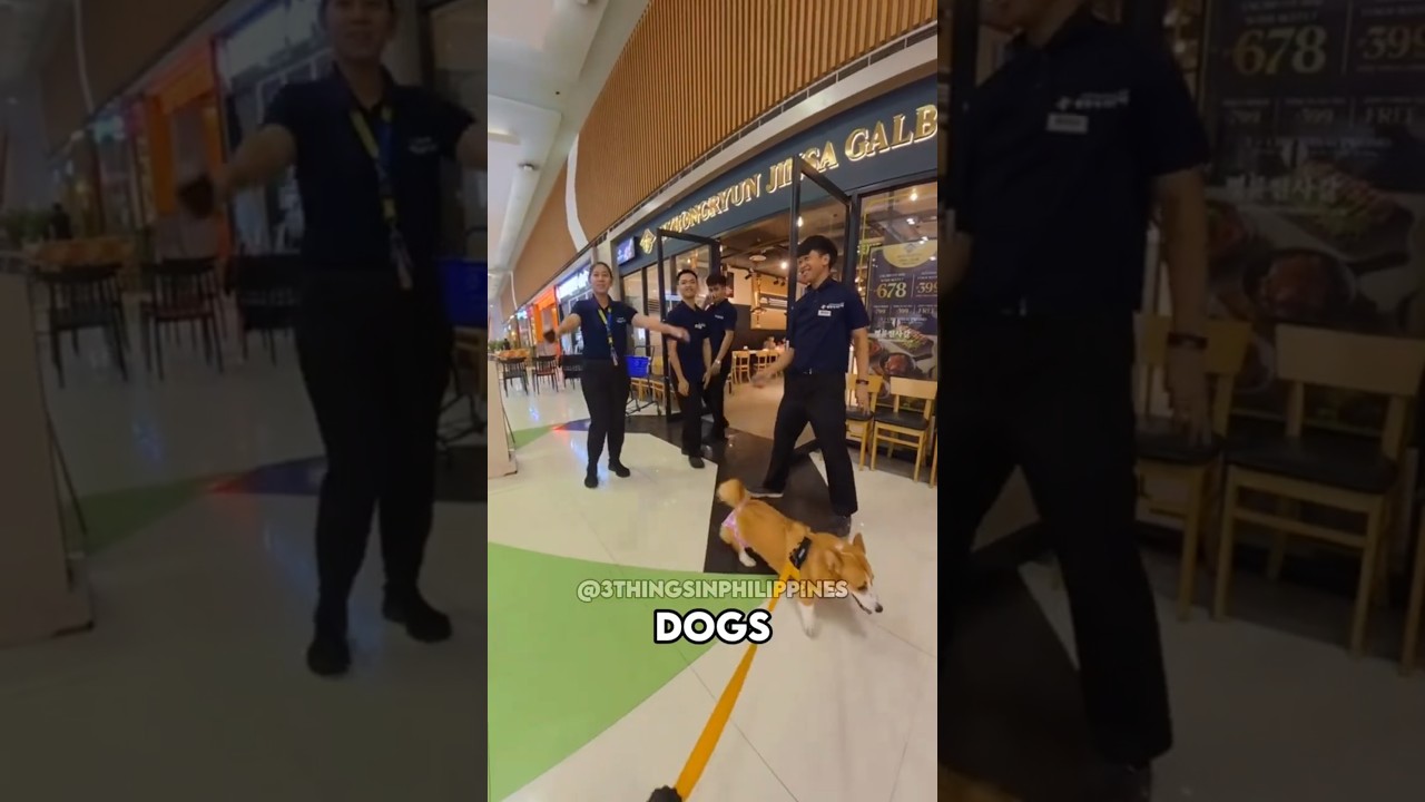 Philippine Malls That Actually Welcome Your Pets 😮