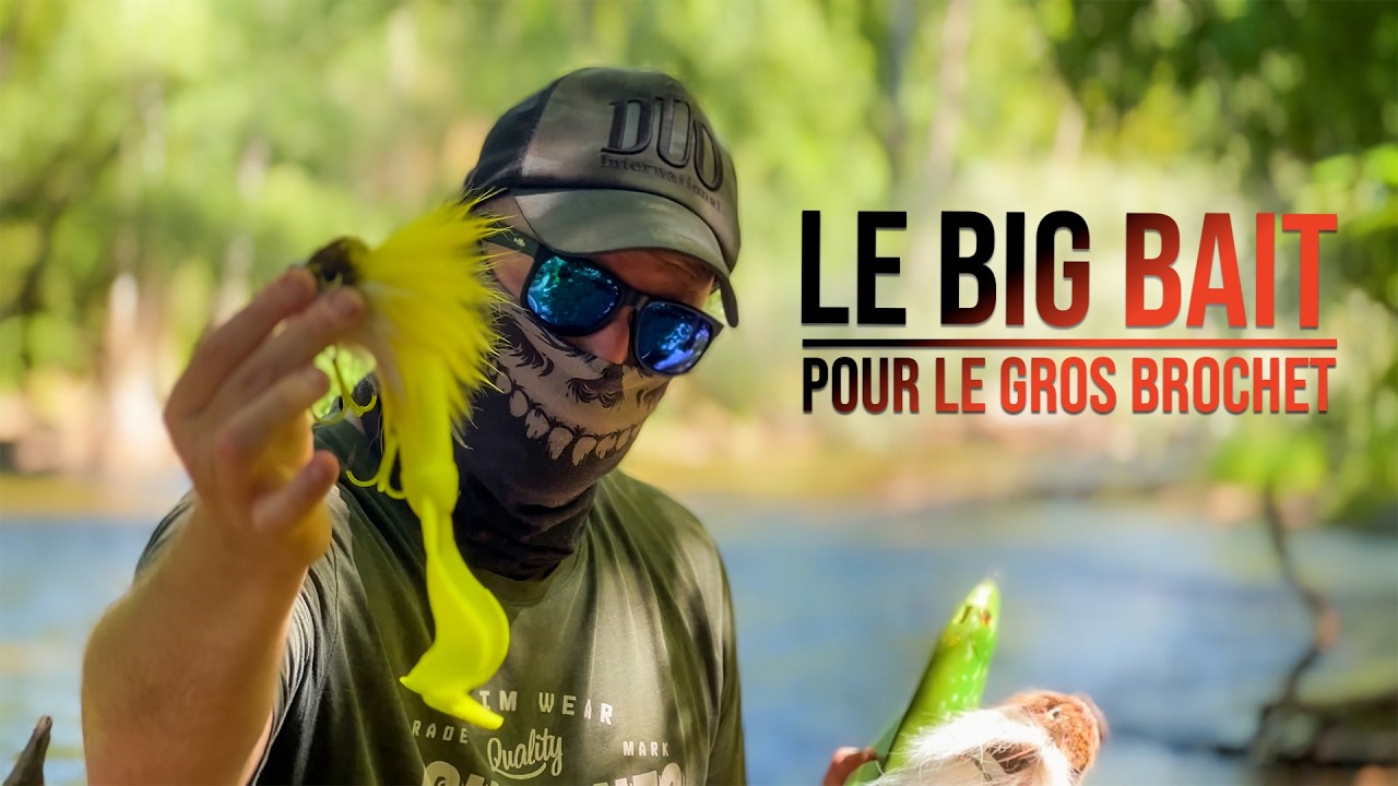 Ce BROCHET MONSTRE résiste pas à mes BIGBAITS #fishing