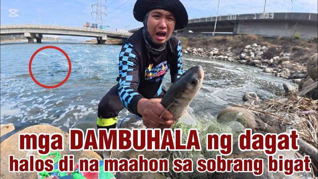 Grabe to ‼️ mga DAMBUHALA ng halos hindi ko na mabuhat dahil sa BIGAT 😱 || KELOGS TV 