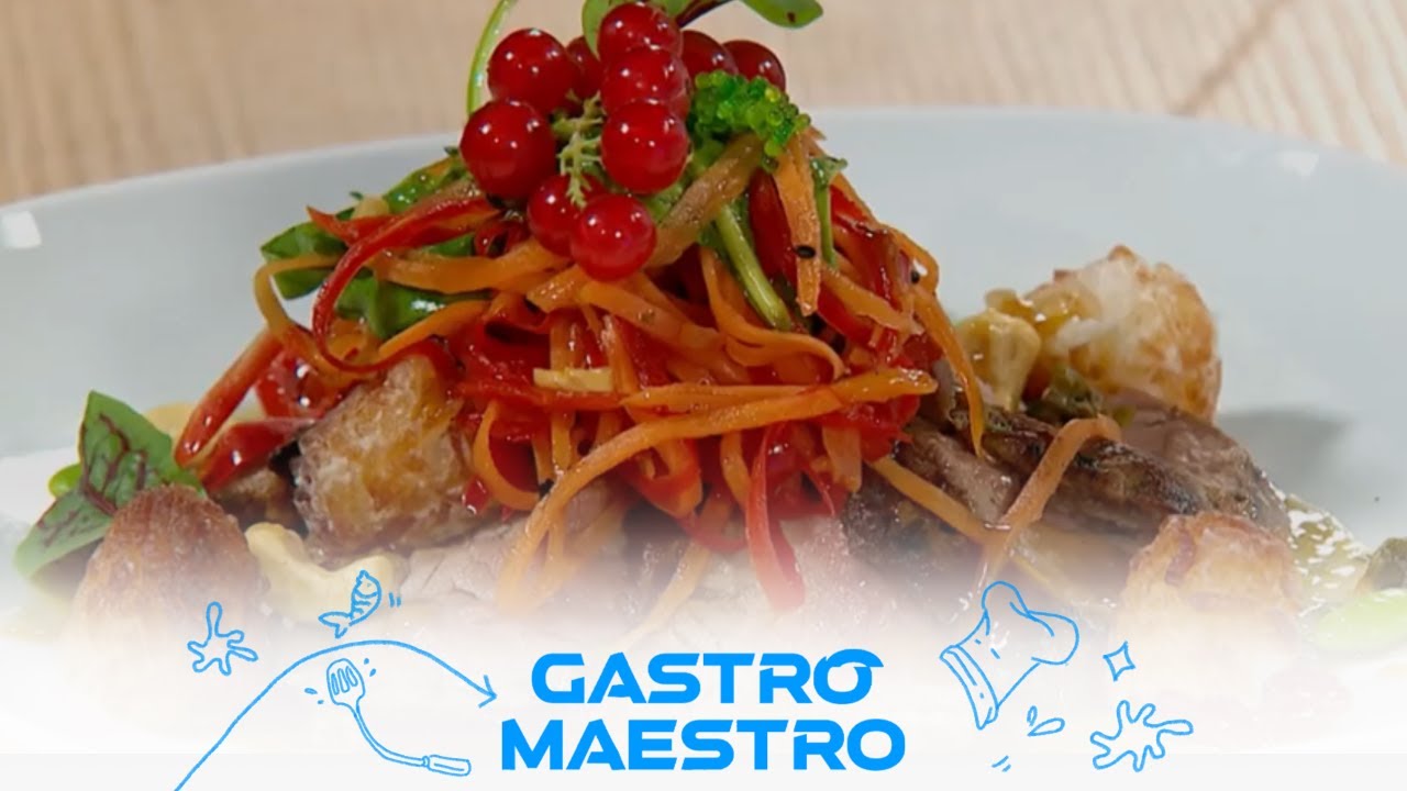 GASTRO MAESTRO | Dejan Vujičić | TV DR