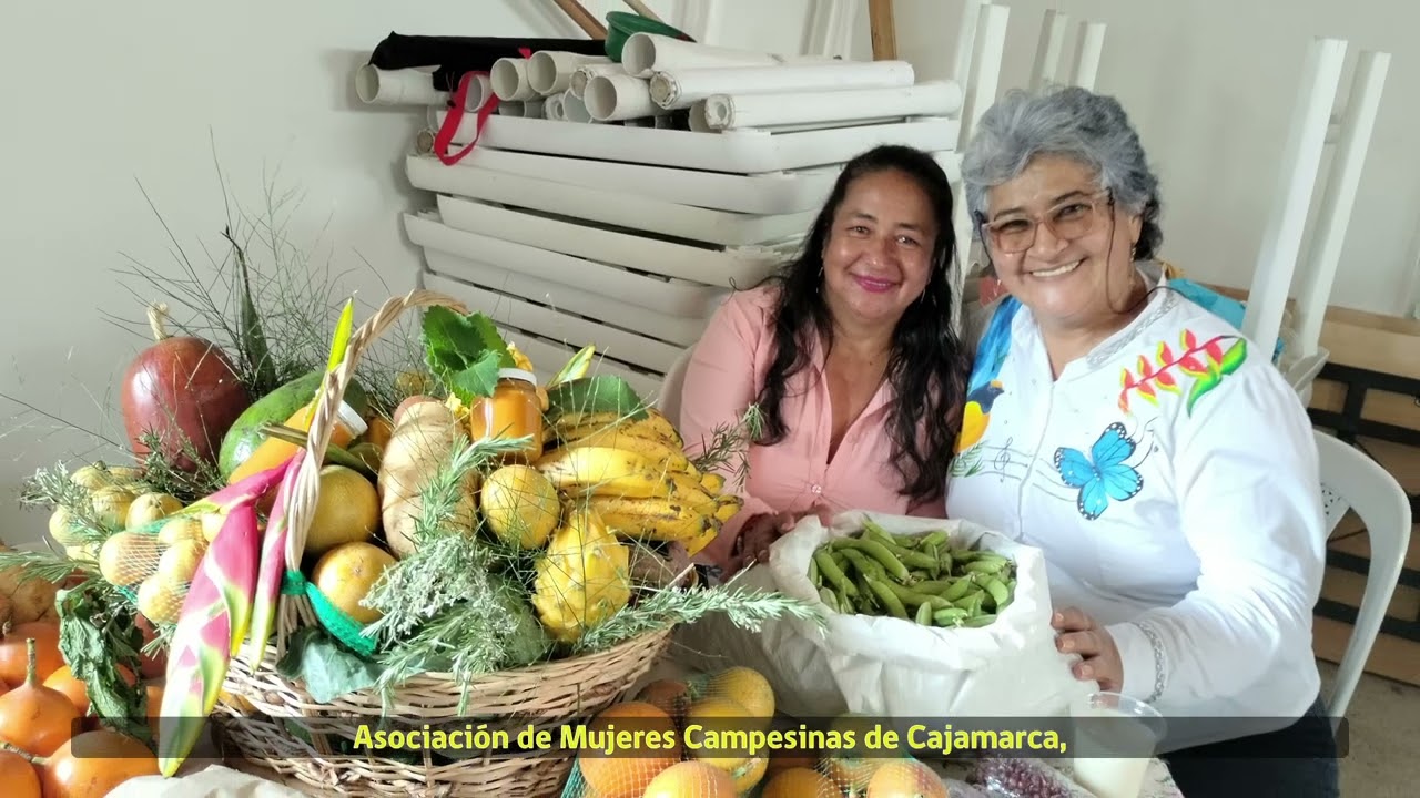 VIDEO PROYECTO AGCID v3