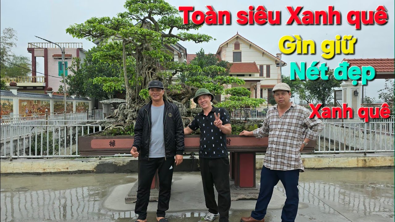 Tiếp tục Chia sẻ Tới - Quý vị một Không Gian Toàn Xanh quê - Nét đẹp Của xanh quê lần đầu tiên lên s