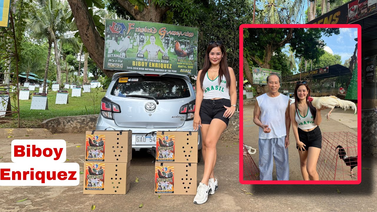 Bumili ulit ako sa Firebird Nang mga Materiales || Biboy Enriquez