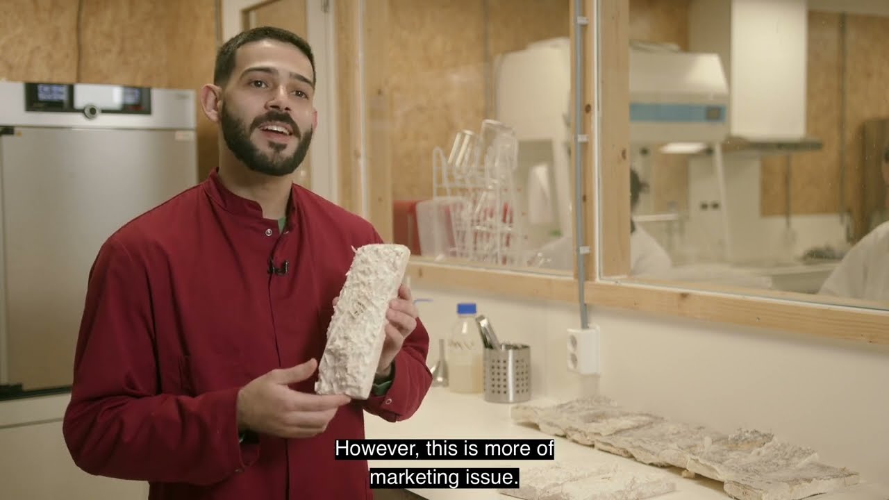 Mycelium biocomposite... a circular biodegradable insulation material