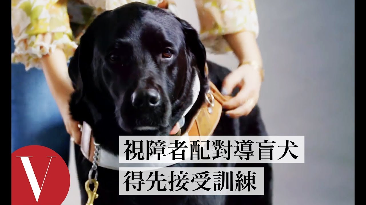 視障者寫mail、回簡訊都不是問題！莫莉·柏克(Molly Burke)揭開真實的「盲人生活」｜Vogue冷知識｜Vogue Taiwan