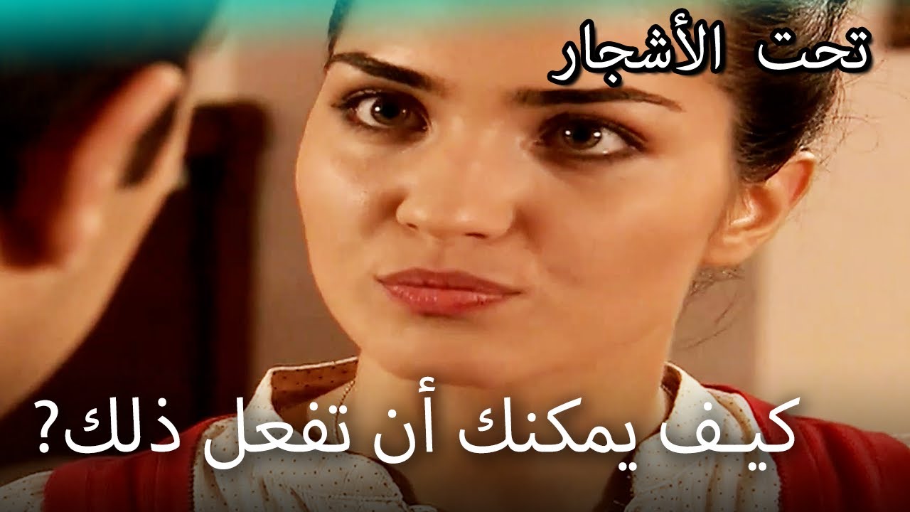 فيليز ، بجانب يلماز! - القسم الخاص تحت الزيزفون