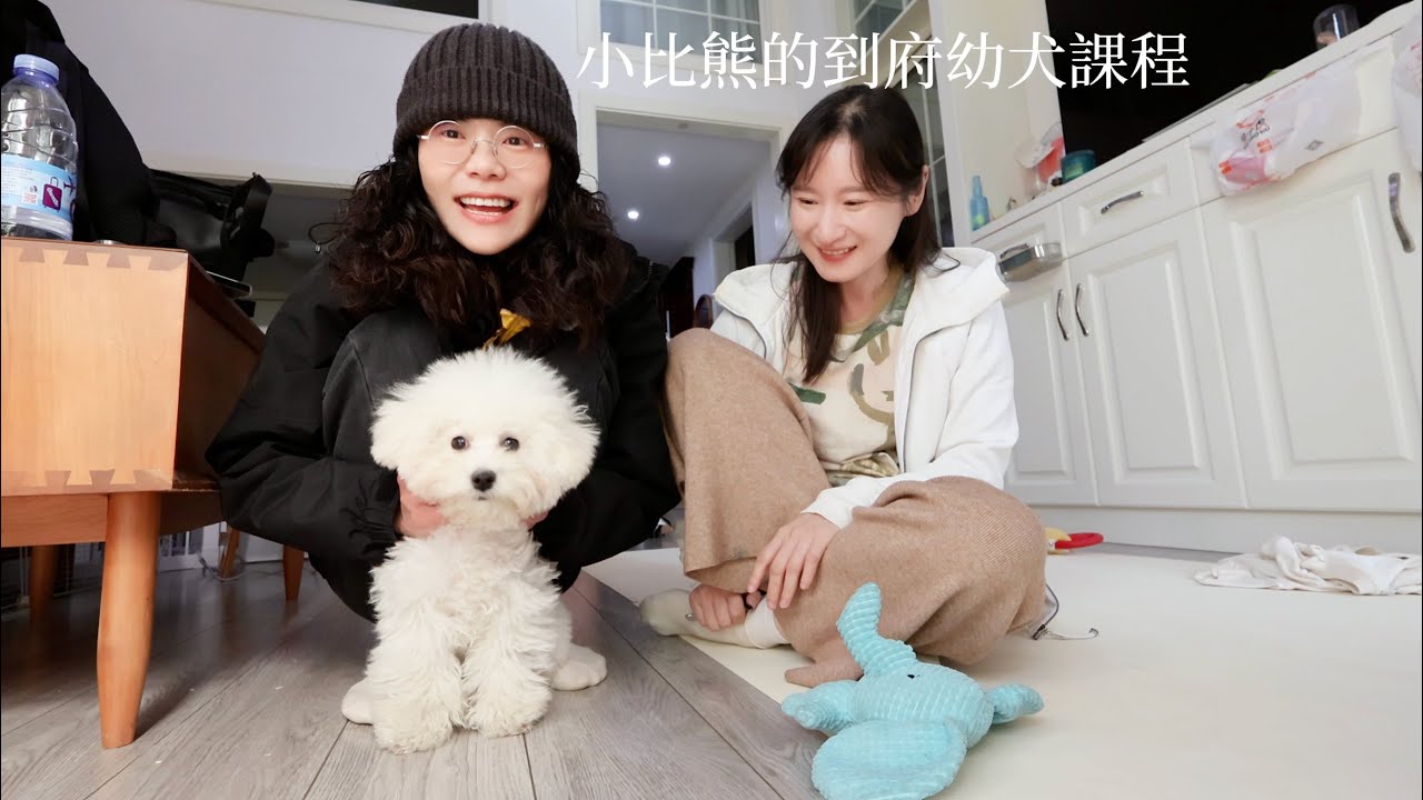 獨自來到陌生的城市，我在安徽蕪湖的幼犬課。