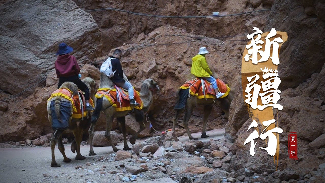 从江南到南疆，穿越崎岖峡谷，漫步沙雅棉田，带回一朵云