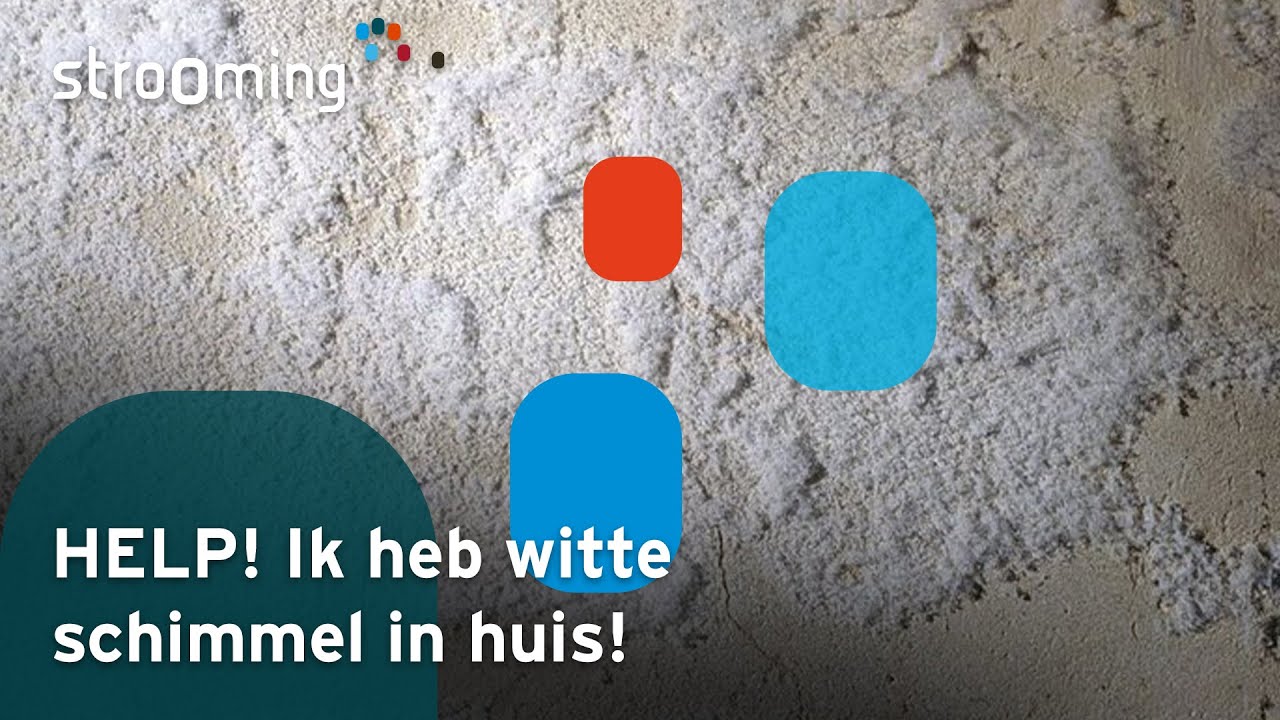 HELP! Ik Heb Witte Schimmel In Huis!
