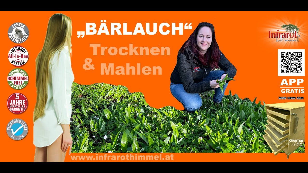 Bärlauch Infrarottrocknen, #bärlauch #kräuter #natur #fnl #kräutergarten #wald #information #infra