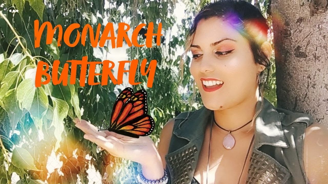 Messages From A Monarch Butterfly