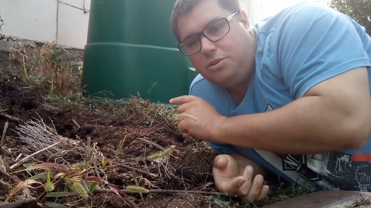 Komposztálás LUSTÁKNAK! Avagy a tökéletlen komposzt.