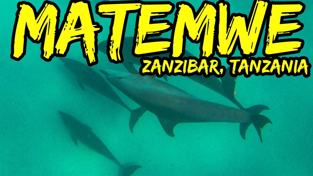Matemwe, Zanzibar, Tanzania. A gem packed tropical paradise.