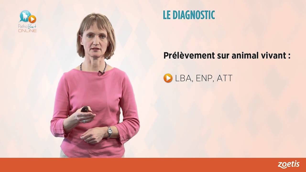 MARIE ANNE ARCANGIOLI   Importance de Mycoplasma bovis dans les bronchopneumonies des jeunes bovins
