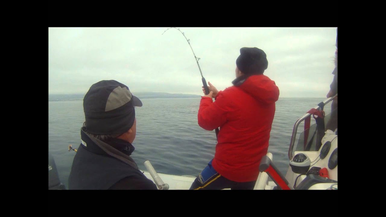 a traina col joker boat