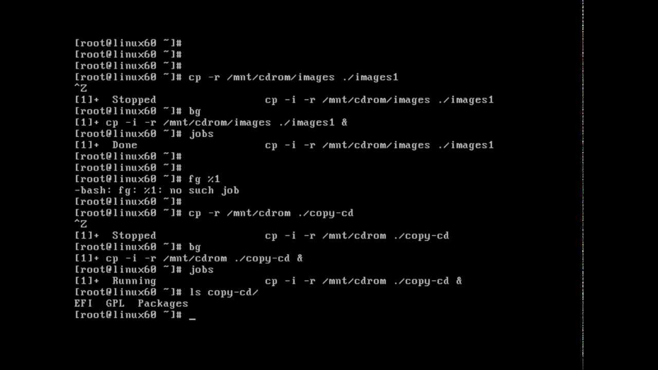 Linux Processes bg & fg