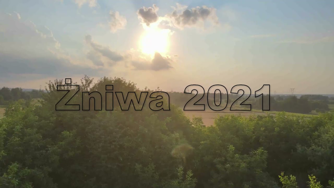 GR Godek: Żniwa 2021
