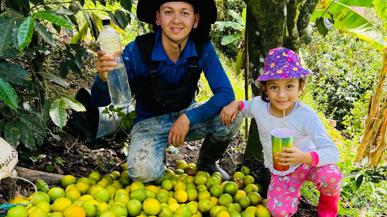 Así Fue Como Le Ayudé A Mi Papá A Recolectar Naranjas #losbarrerita #campo #vida #tending