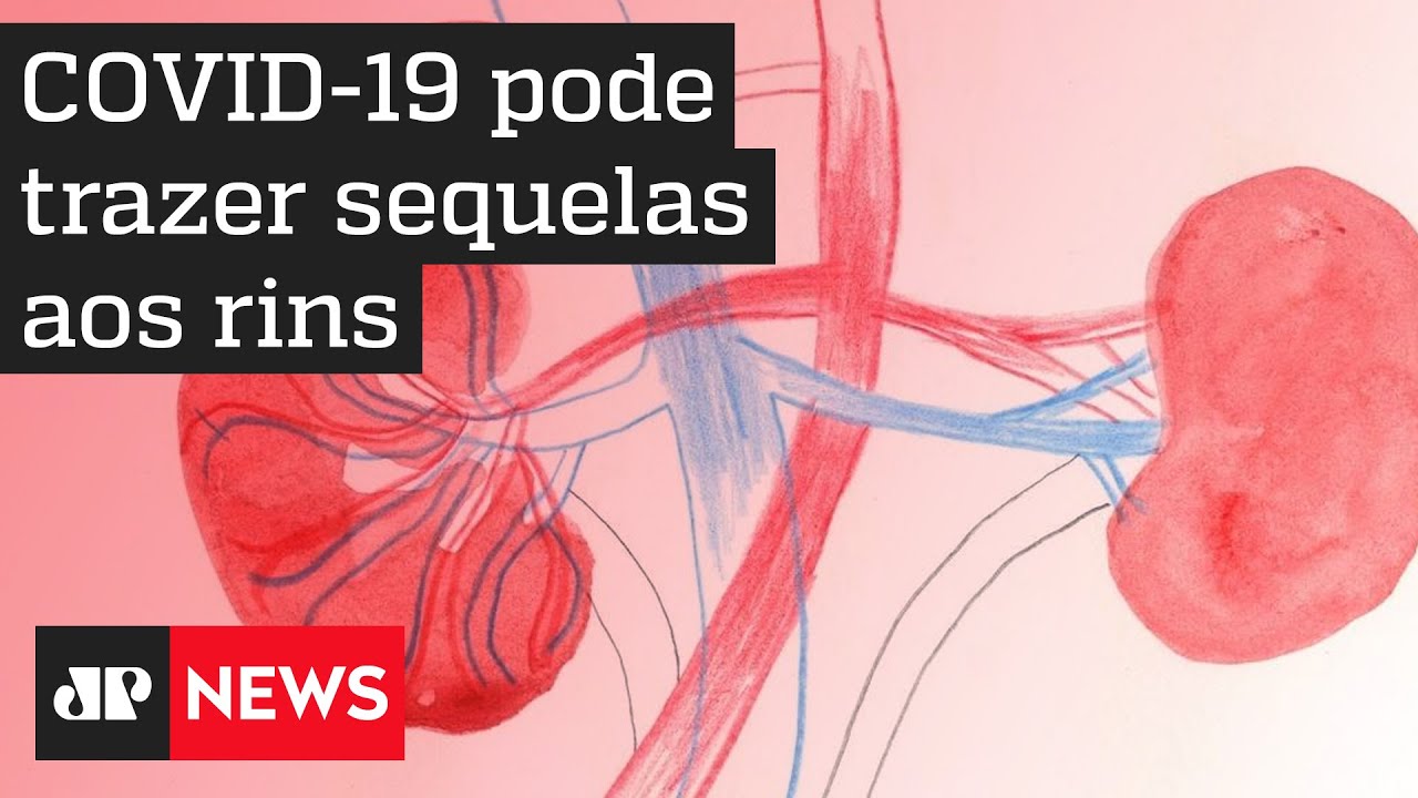 Além do pulmão, Covid-19 pode trazer sequelas ao coração, rins e cérebro