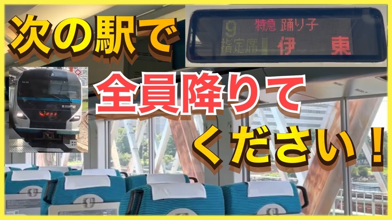 【運転打ち切り宣言に怒号‼️】途中駅で長時間運転見合わせをするとこうなります。E257系2000番台/2500番台特急踊り子13号（品川〜熱海駅間乗車）