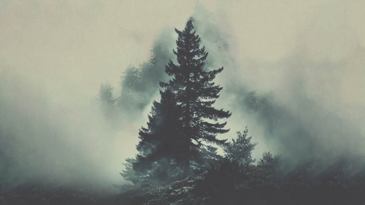 New Moon