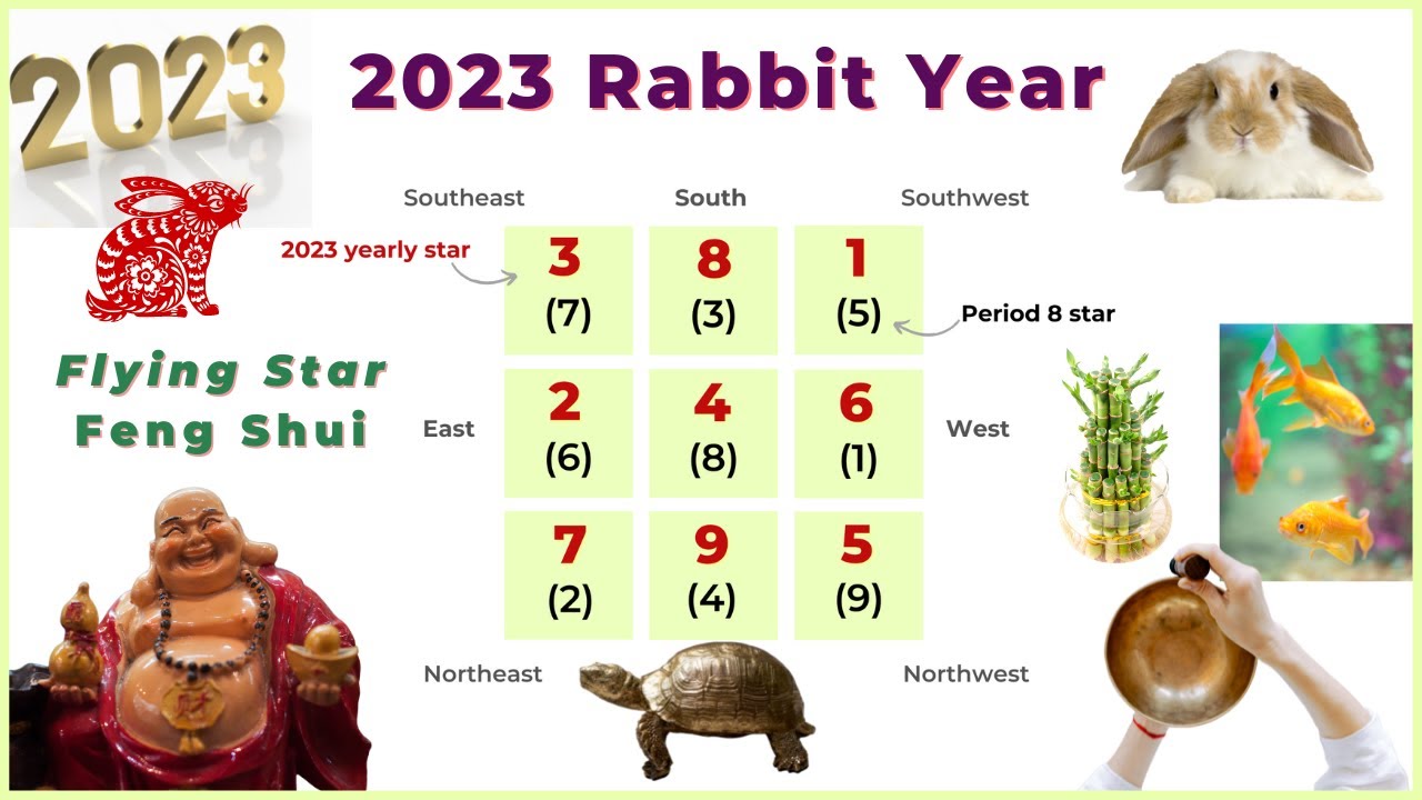 2023 Rabbit year flying star feng shui chart analysis