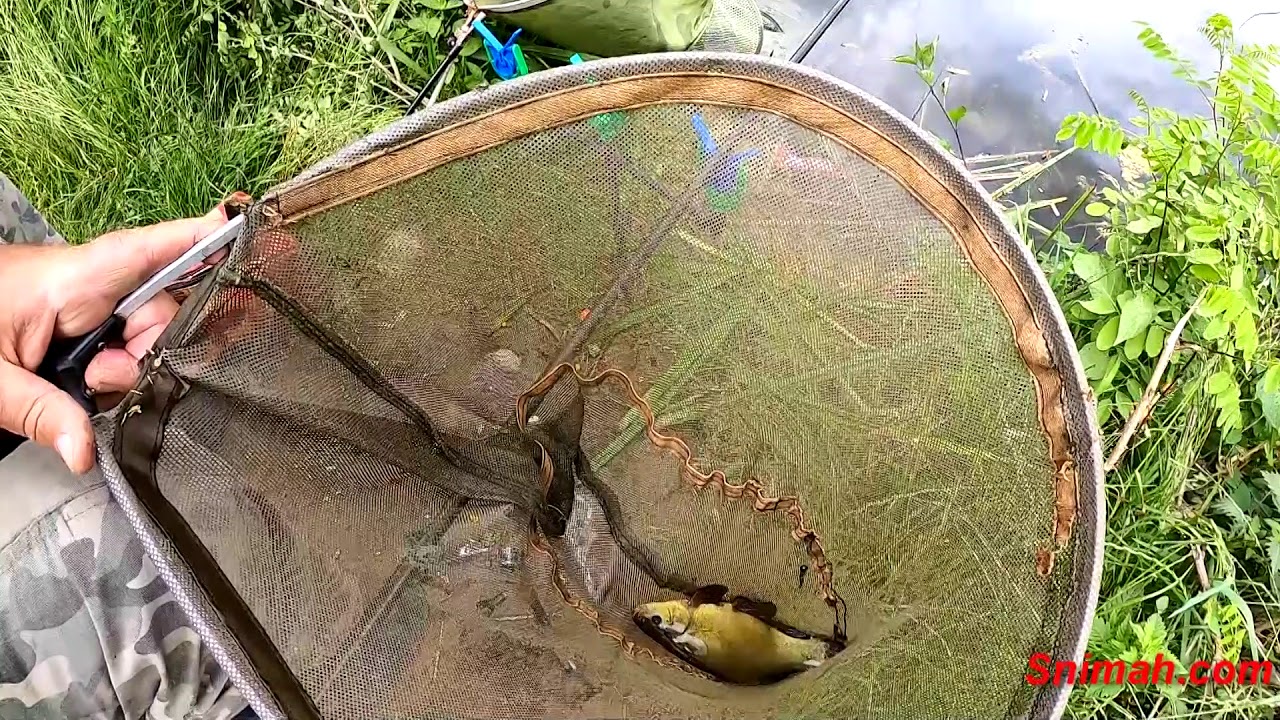 За лин по Кочериновските блата