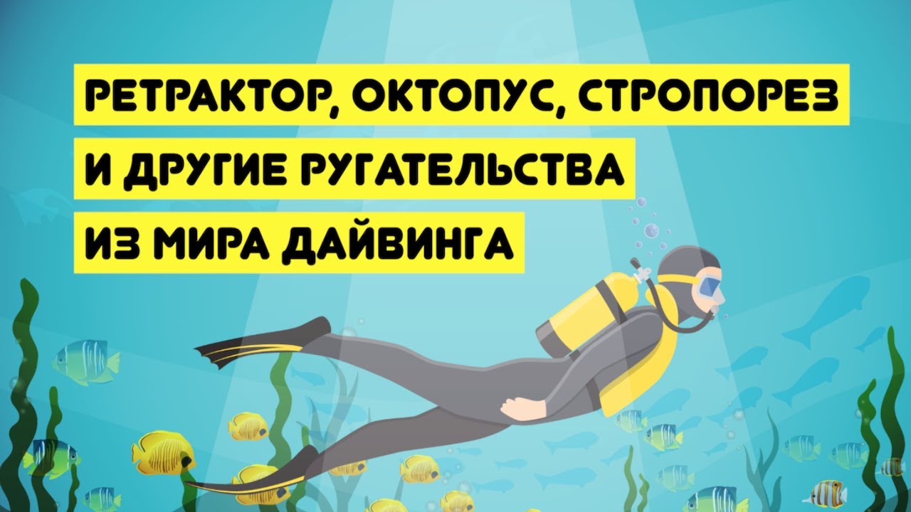Ретрактор, октопус, стропорез и другие ругательства из мира дайвинга