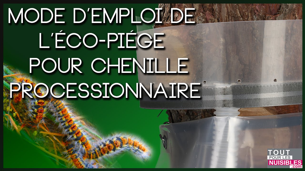 Eco piege &agrave; chenilles processionnaires