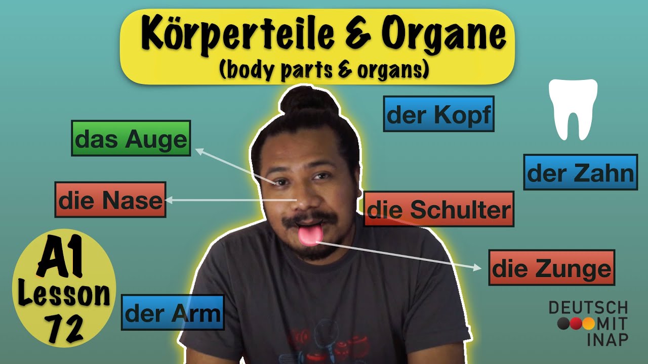 A1- German Lesson 72 | Körperteile und Organe | Body parts and organs | Wortschatz  | Vocabulary