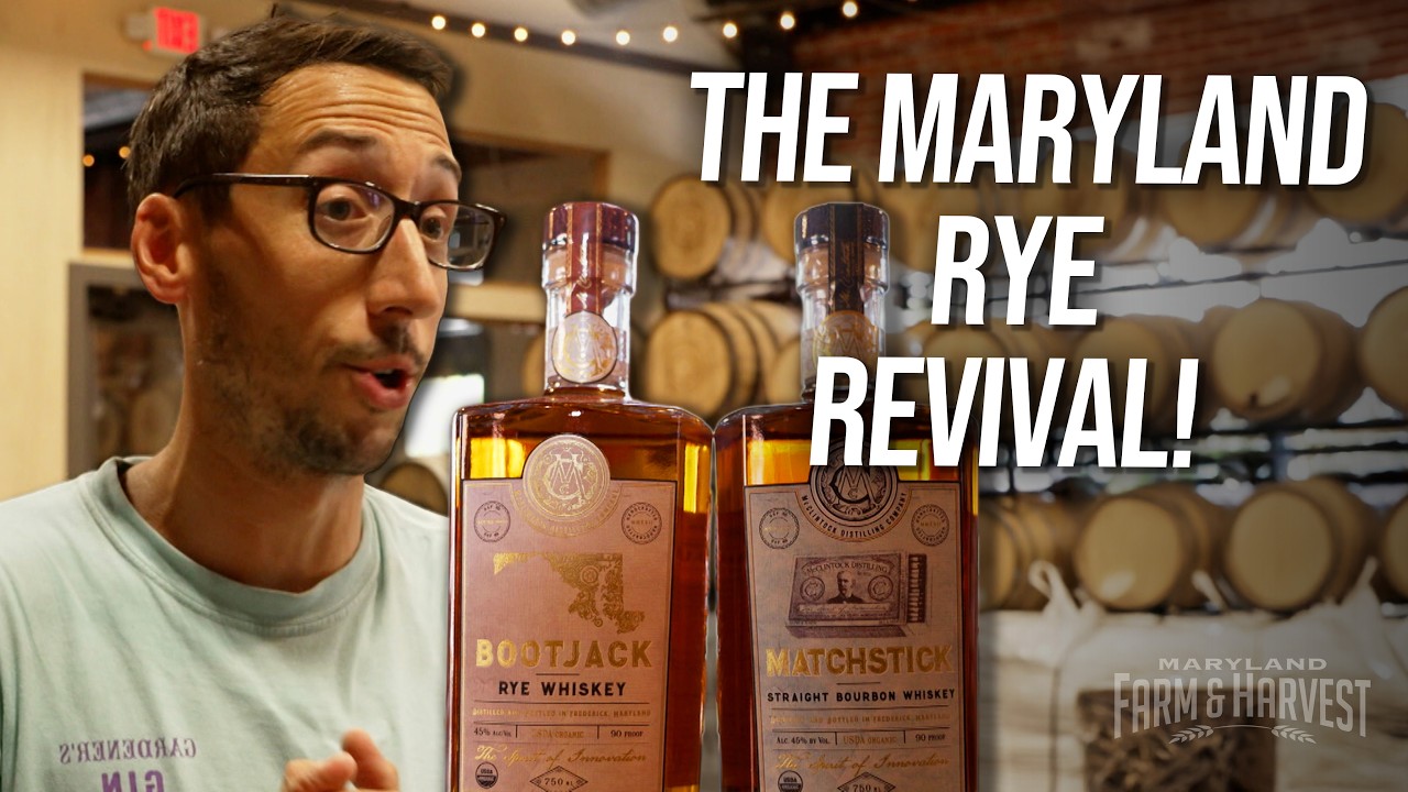 Historic Maryland Rye Revival At McClintock Distilling | MD F&H